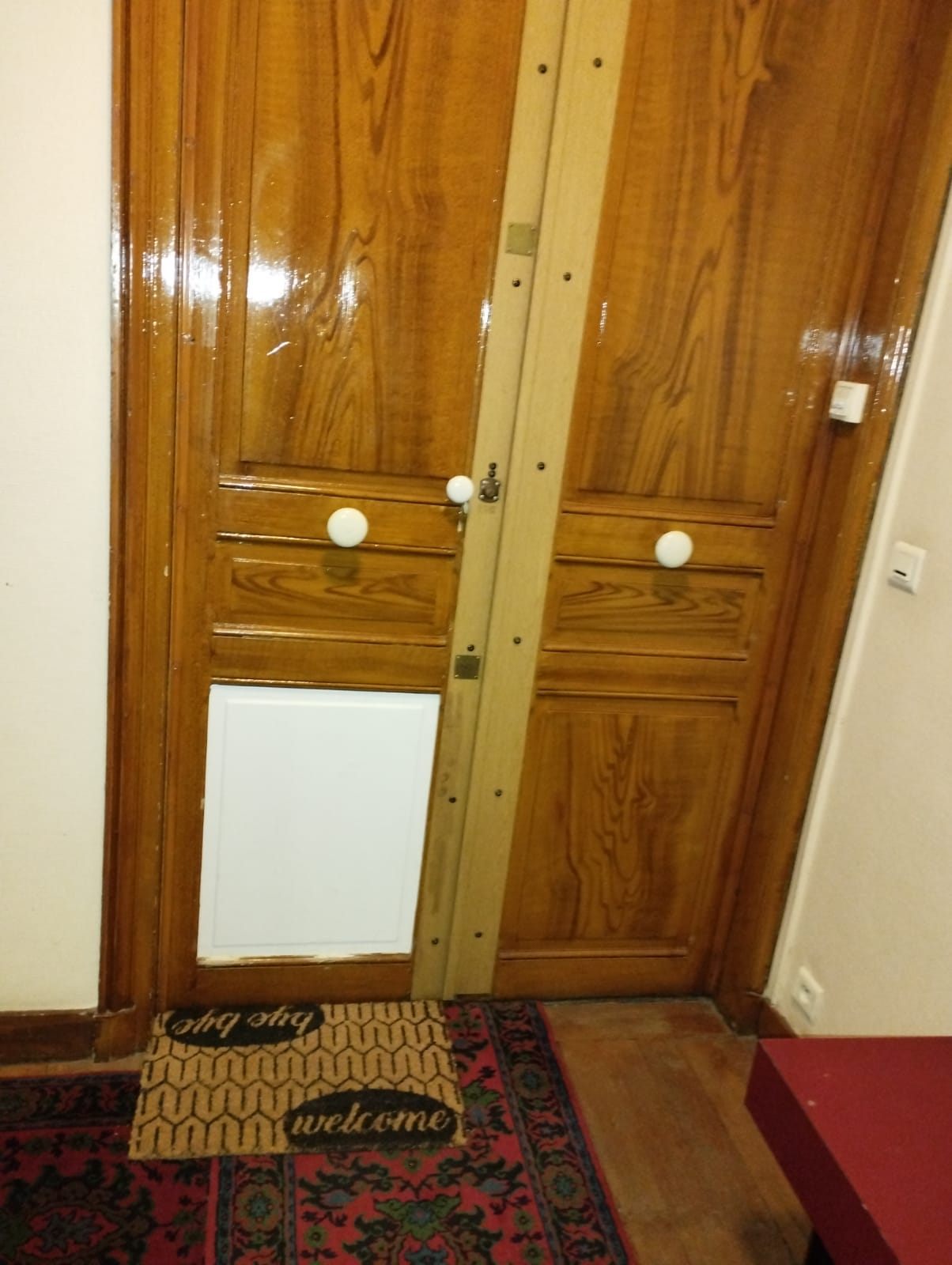 Porte intérieure en bois avec chatière